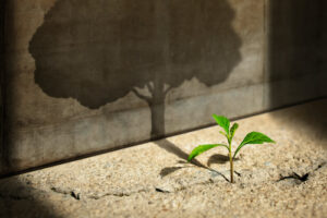 Growth mindset is the belief that one can improve one’s abilities through effort, learning, and persistence.